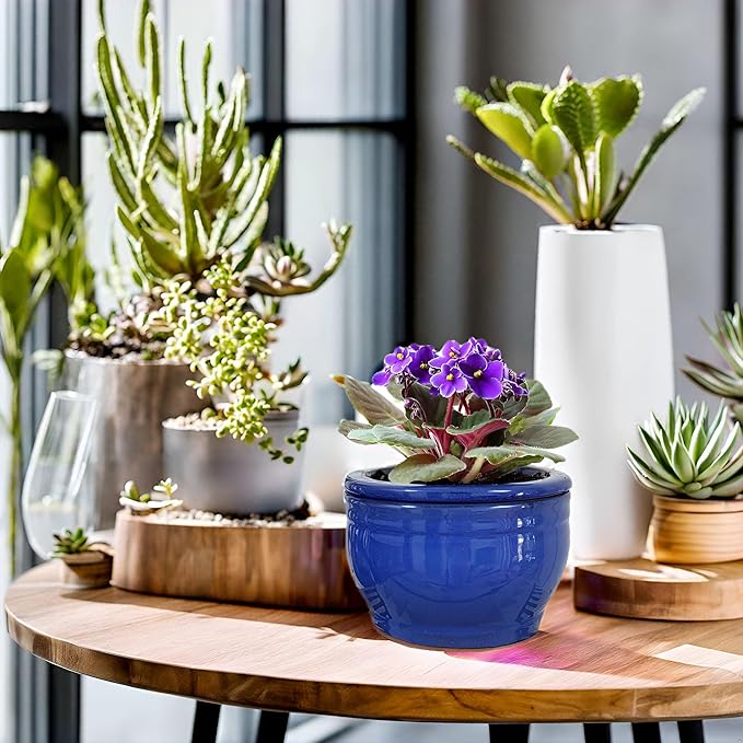 African Violet Pots Self Watering 6 inch Round Ceramic Violet Pot Blue