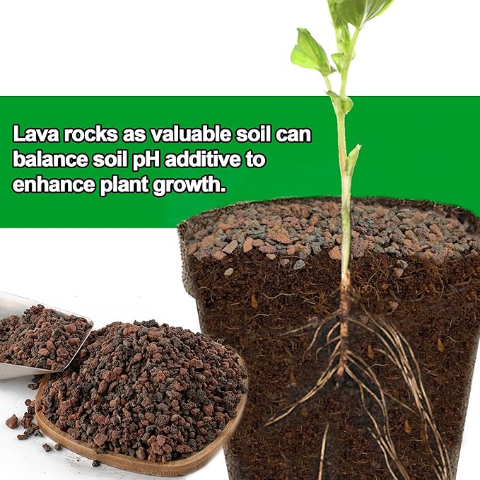 3lb Mix Lava Rocks for Plants-Horticultural Volcanic Rock Gravel for Landscaping Plants Drainage, Succulents, Bonsai, Vase Fillers, Terrarium Plants, Top Dressing
