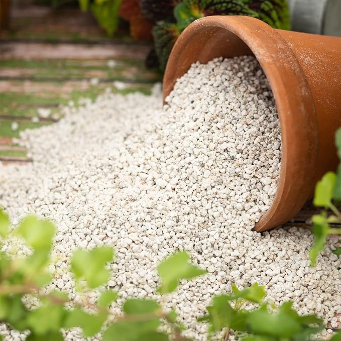 Organic Perlite for Plants, Soil Amendment for Enhanced Drainage and Growth, Ideal for Potting Mixes(2 Quart)