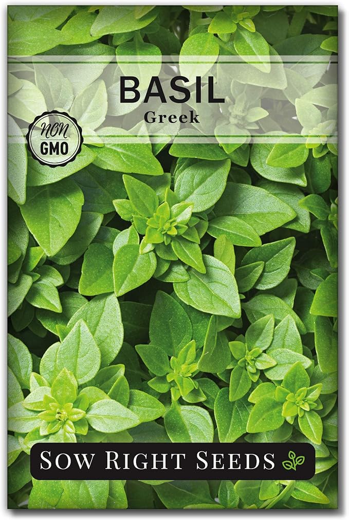 Sow Right Seeds - Dwarf Herb Seed Collection for Planting - Munstead Lavender, Greek Basil, Compact Dill, Roman Chamomile & Thyme to Grow a Home Garden - Compact Varieties - Grow Your Own Fresh Herbs
