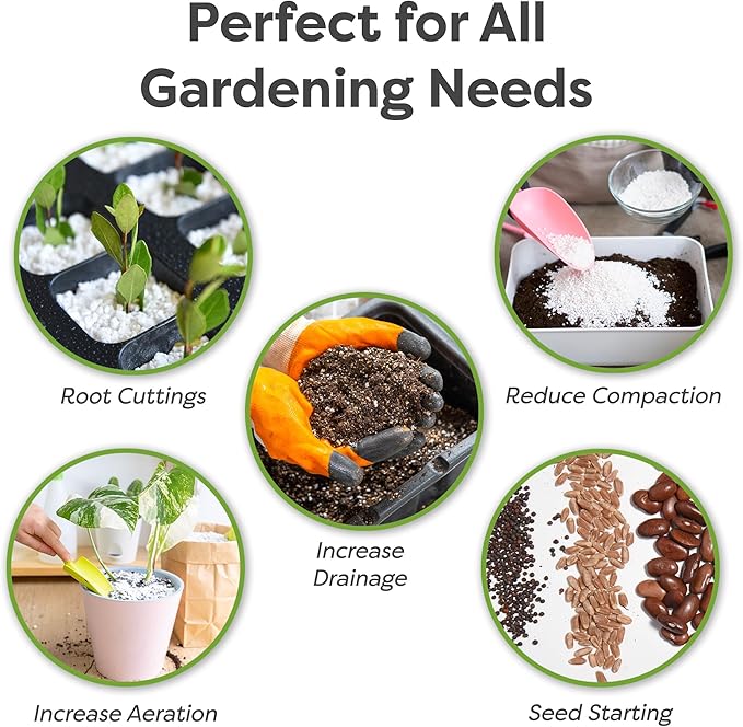 Organic Perlite by Perfect Plants β Add to Soil for Indoor & Outdoor Container Plants for Drainage Management and Enhanced Growth (8qts.)