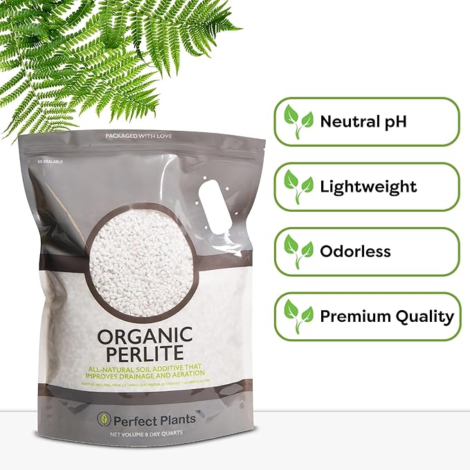 Organic Perlite by Perfect Plants β Add to Soil for Indoor & Outdoor Container Plants for Drainage Management and Enhanced Growth (8qts.)