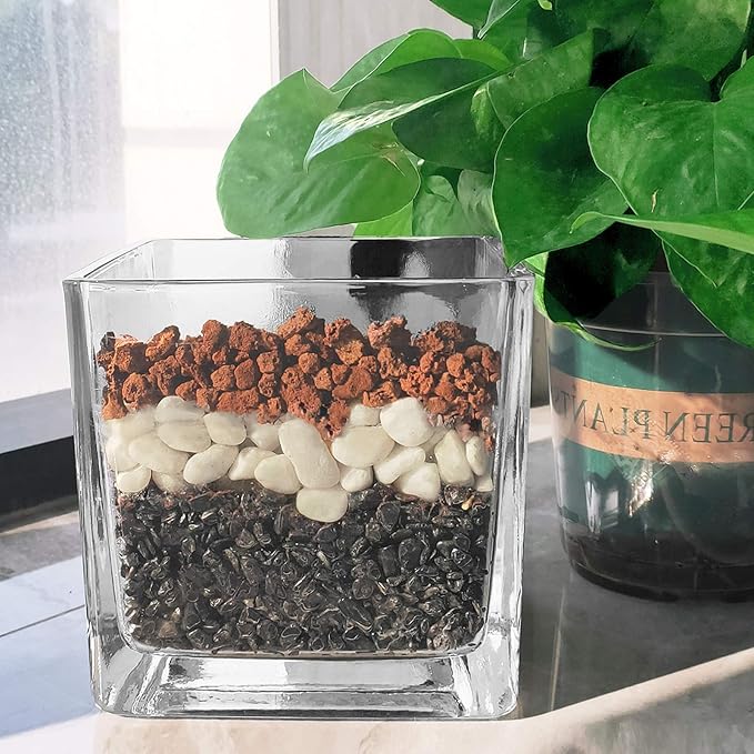 Red Lava Rocks for Plants -100% Pure Volcanic Rock No Dyes or Chemicals-Best Lava Stones Top Dressing for Cacti Succulents Plants,Bonsai-12LBS