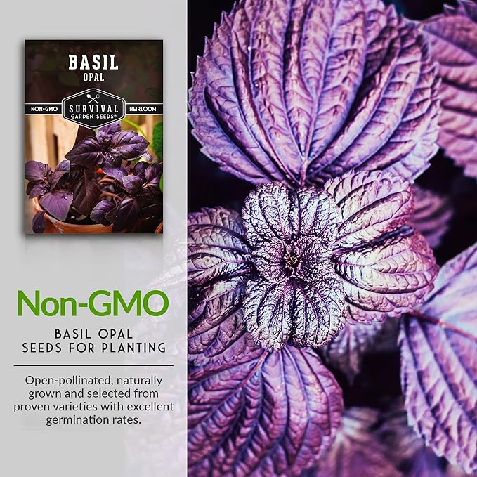 Survival Garden Seeds - Opal Basil Seed for Planting - 3 Packs with Instructions to Plant and Grow Delicious & Unique Purple Basil Herb Plants in Your Home Vegetable Garden - Non-GMO Heirloom Variety