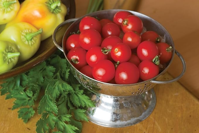 Burpee Super Sweet 100' Hybrid Cherry Tomato, 50 Seeds & Straight Eight Slicing Cucumber Seeds 200 Seeds
