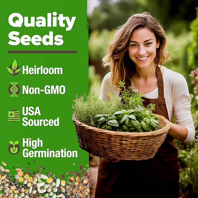 HOME GROWN 20 Culinary Herb Seed Vault - Heirloom and Non GMO - Seeds for Planting for Indoor or Outdoor Herbs Garden, Basil, Cilantro, Parsley, Chives, Lavender, Dill, Marjoram, Mint, Rosemary, Thyme