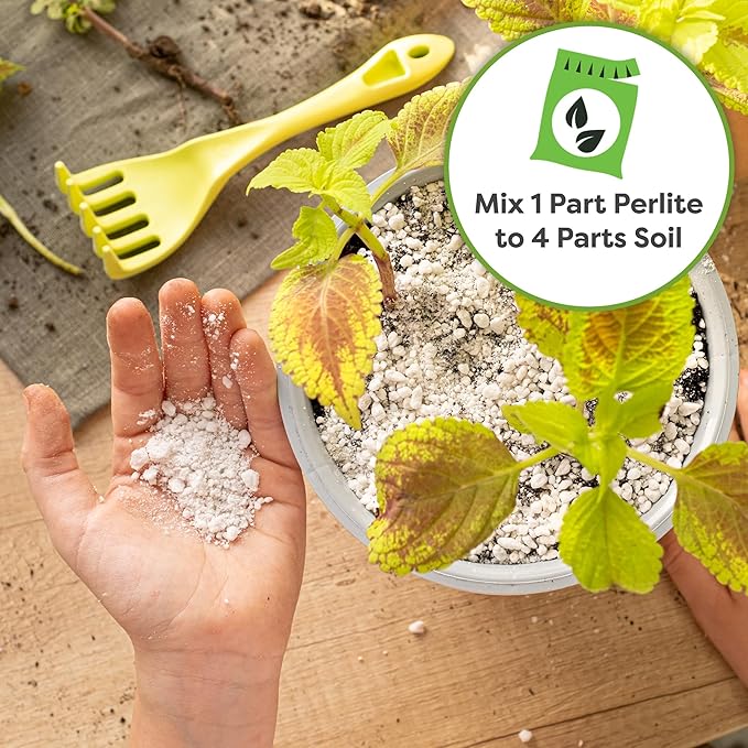 Organic Perlite by Perfect Plants β 4qts. Natural Soil Additive for Indoor & Outdoor Container Plants β Enhanced Drainage for Optimal Growth