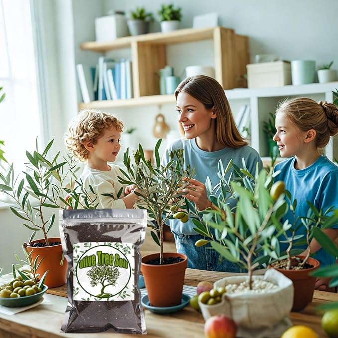Premium Olive Tree Potting Mix 1qt, Uesed for The Propagation of Olive Trees by Cuttings or Seeds, Suitable for Planting, Repotting, and Growing Houseplant