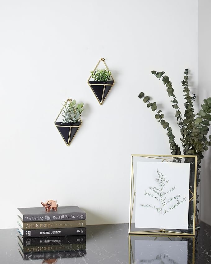 Umbra Trigg Hanging Planter Vase Wall Decor, Set of 2 Pots Containers for Succulents, Cactus, Faux Plants, and More, Small, Black/Brass