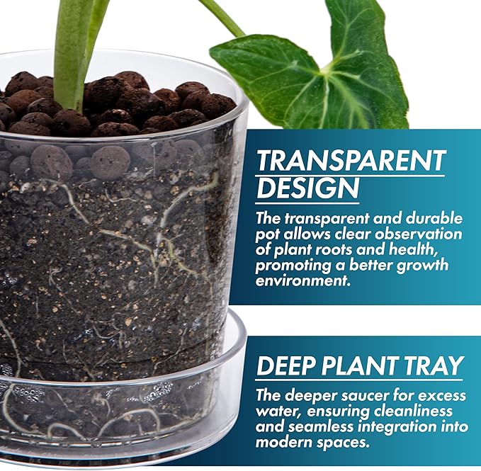 Phoenix Vine 4.5 Inch Clear Acrylic Planter Pot with Tray, Orchid Pot with Drainage Holes, Deep Saucer for Bottom Watering, Transparent Containers for Indoor Plants, Herbs, Set of 1, 91-A-E-1