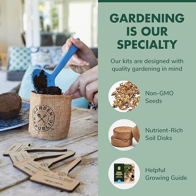 Bonsai Tree Kit - Grow 3 Mini Bonsai Trees, Indoor Plant Growing Kit - Bonsai Starter Kit with Bonsai Seeds, Soil, Planters & Shears, Gardening Gifts for Women, Fathers Day Gardening Gifts