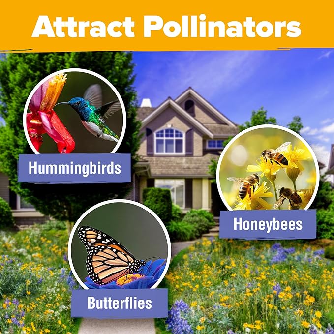 HOME GROWN Midwest Wildflower Seeds Mix 4oz | 65,000 Non-GMO, USA Sourced, High Germination Rate | Heirloom Pollinator Flowers Seed Mix | Wild Flower Seeds Bulk | Covers 500 sq. ft.