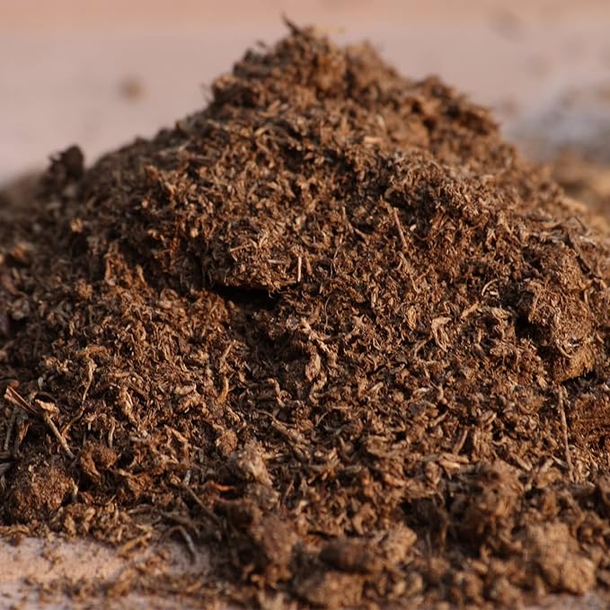 Organic Sphagnum Peat Moss 4qt, Added to Soil and Enriches Plant Roots, Gardening Soil Amendment and Carnivorous Plant Soil Media