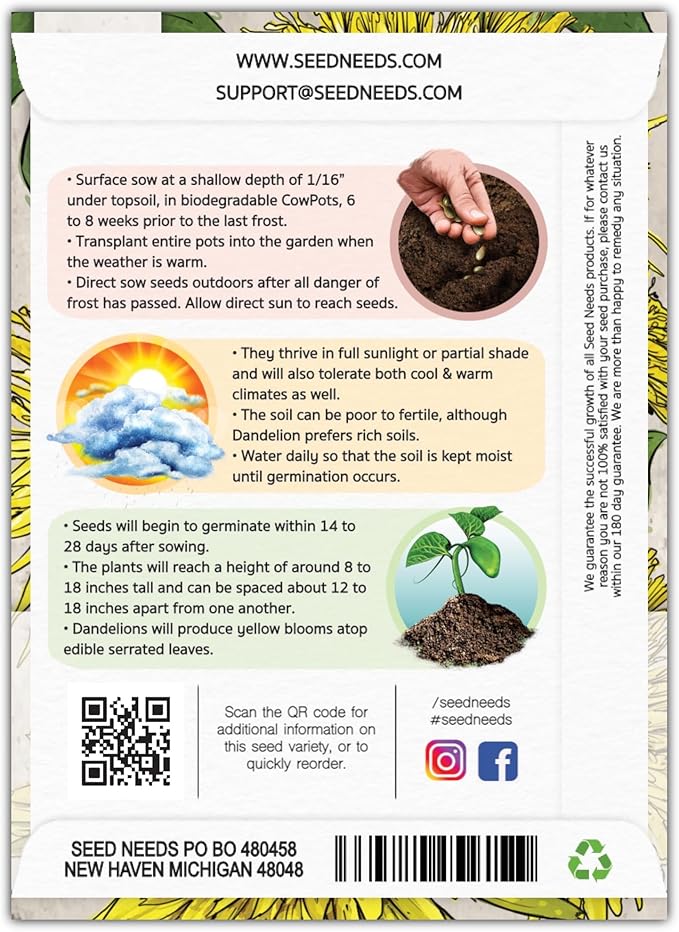 Seed Needs Dandelion Seeds for Planting - Non-GMO, Heirloom & Untreated Perennial Herbs - Organically Grow Food for Tortoises, Rabbits & Bearded Dragons (2 Packs)