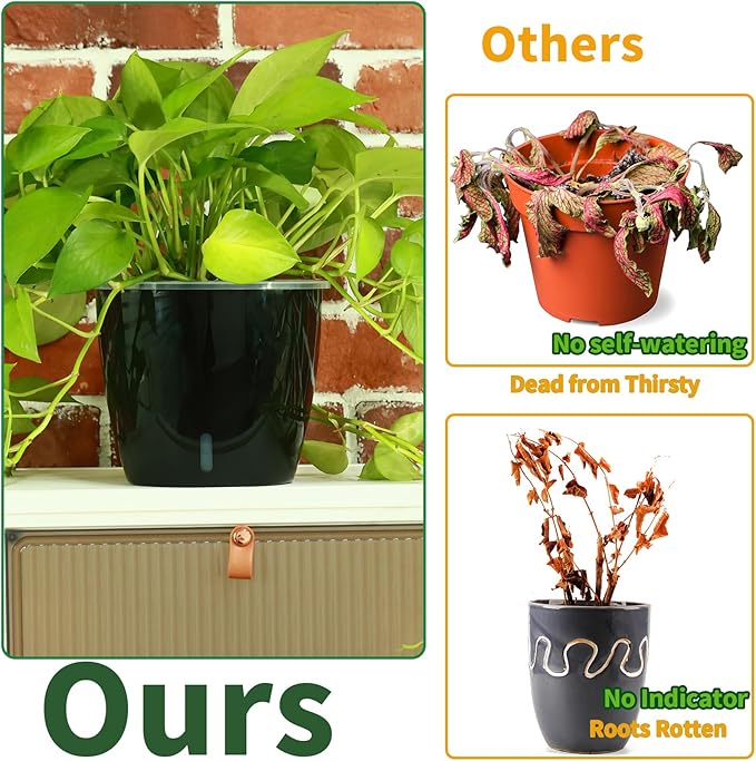 Planterhoma 6.7 Inch Self Watering Pots for Indoor Plants, 6 Packs African Violet Pots with Water Indicator and Black Wick Pots, Self Watering Planters for Devil's Ivy, Indoor Plant Pots, Black