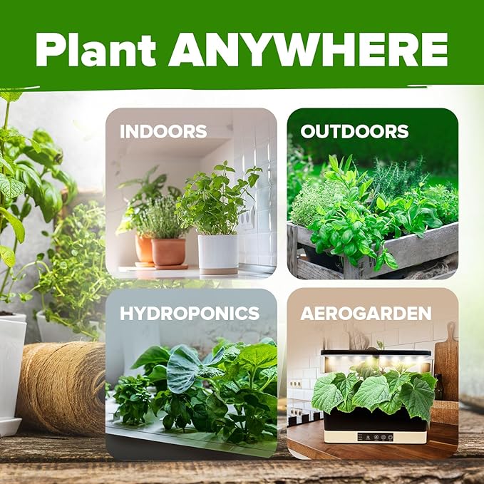 HOME GROWN 30 Herb Seeds Pack | 9,500 Non-GMO, Heirloom Seeds | Indoor & Outdoor Planting | Culinary Herb Seeds Variety Pack | HG30H Perfect for Hydroponic Gardens | Parsley, Rosemary, Thyme & More
