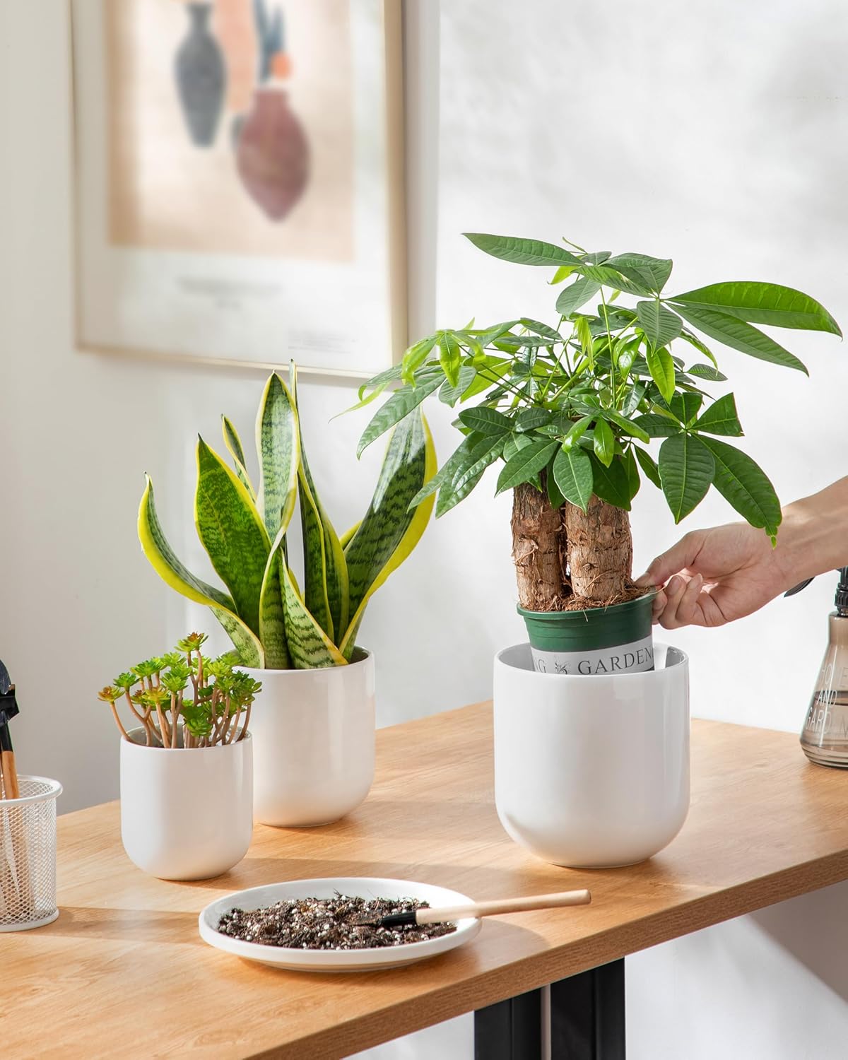 vancasso Ceramic Plant Pots, 4+5+6 inches, Set of 3, Planters with Drainage Hole, Flower Pots Planters Pots for Indoor Plants, Modern Indoor Decorative Garden Pot, Home Decor, White