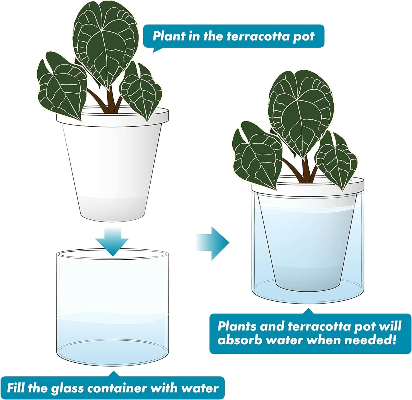 D'vine Dev 6 Inch Design Self Watering Planter for Indoor Plants, White Terracotta Pots with Cylinder Glass Cup, Set of 2, 37-Y-B-2