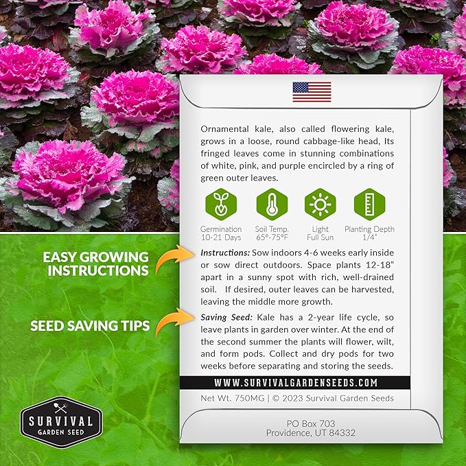 Ornamental Kale Seed for Planting - 2 Packets with Instructions for Growing Ornamental Flowering Kale Plants in Your Home Vegetable Garden - Non-GMO Heirloom Variety - Survival Garden Seeds