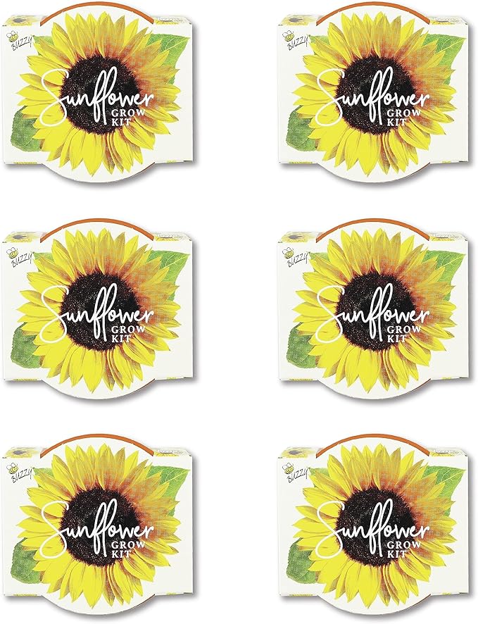 BUZZY Seeds Terracotta Mini Grow Pots | Herb, Plant, Flower Starter Kit for Kids & Adults | Mini Sunflower 6-Pack, Daydream Collection | Guaranteed to Grow | Best Indoor-Outdoor Gardening Gift