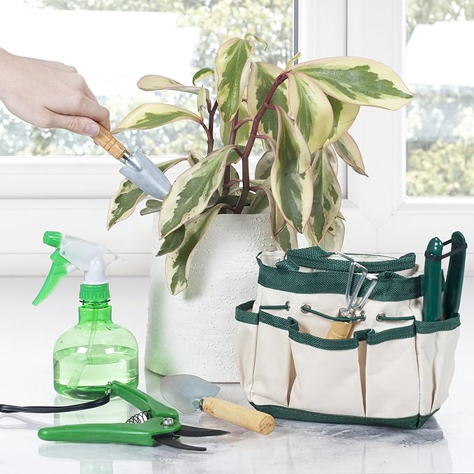 Pure Garden 7 Piece Gardening Tool Set – Mini Planting and Repotting Kit and Carrying Tote Bag Organizer for Succulents, Herbs, and Bonsai Plants