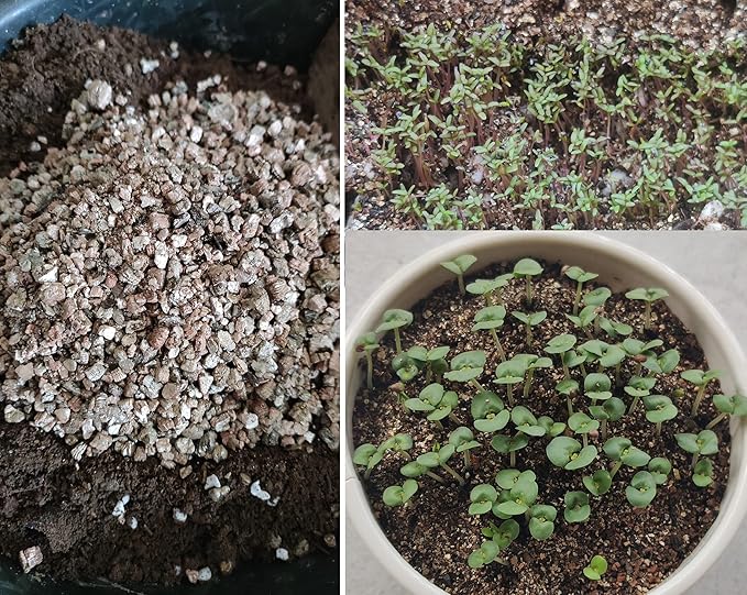 15QT Organic Vermiculite Granules for Plants and Gardening
