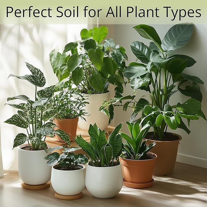 Coconut Coir Potting Soil for Indoor Plants - Expands to 2.5 Quart (5.5 lb) | Perfect for General Houseplants, Herbs, and Bonsai Trees - Expands with Water