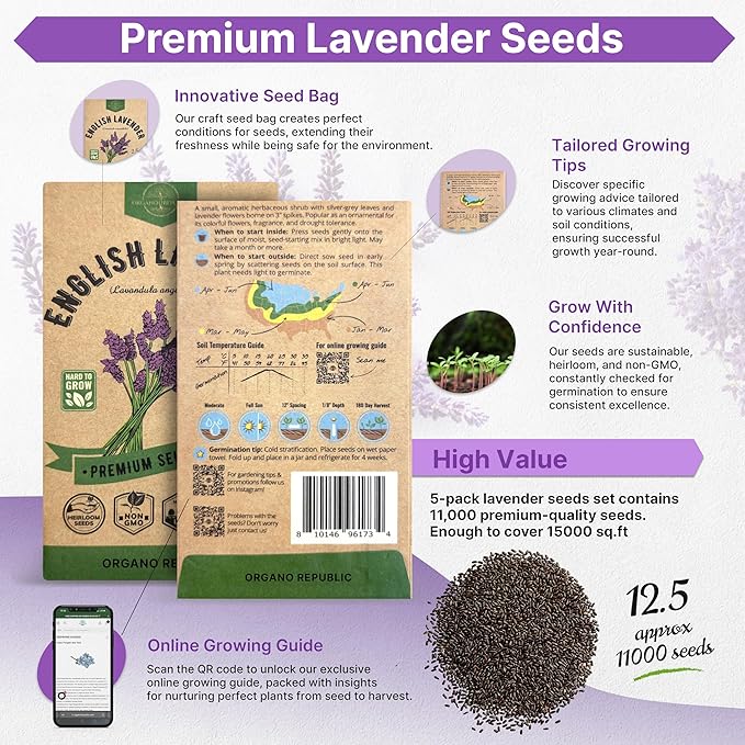 Organo Republic 5-Pack English Lavender Seeds 12.50G - Over 11000 Non-GMO Heirloom Lavender Seeds for Planting in Individual Seed Packets, Herb Seeds for Planting Home Garden Indoor & Outdoor