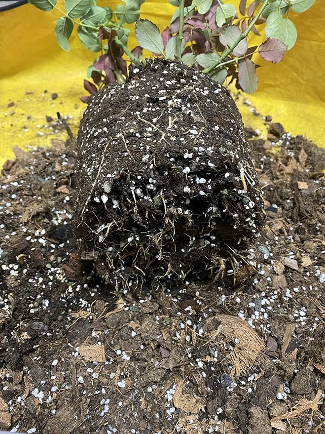 10QT Organic Perlite Horticultural Soil Amendment for Plants and Enhanced Drainage Enhanced