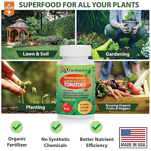 Premium Organic Kelp Concentrate for Tomato Plants - 8 oz - Amplify Tomato Size and Taste for a Satisfying Harvest