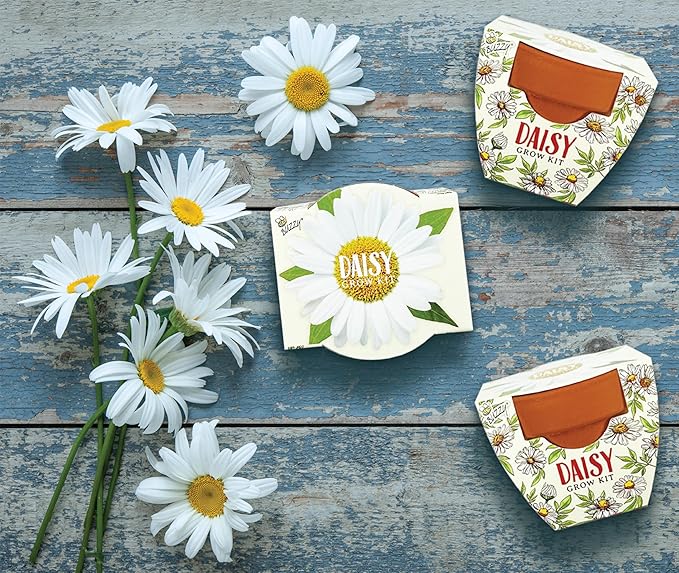 BUZZY Terracotta Mini Grow Pots for Adults and Kids | Daydream Daisy Flower | 12-Count case| Best Gardening Gifts or Party Favors for Wedding, Birthday, Shower, Valentine | Guaranteed to Grow…