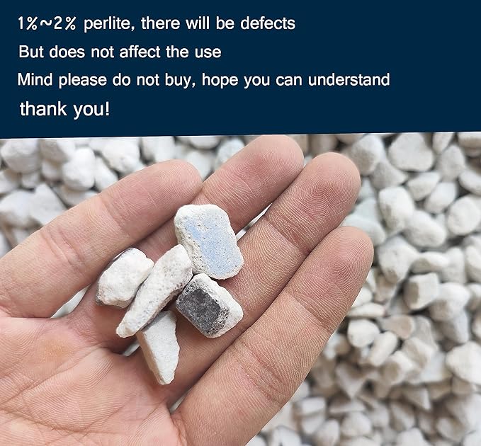 10 QT Professional Grade Horticultural Organic Perlite (10 QT, Large Size - Perlite)