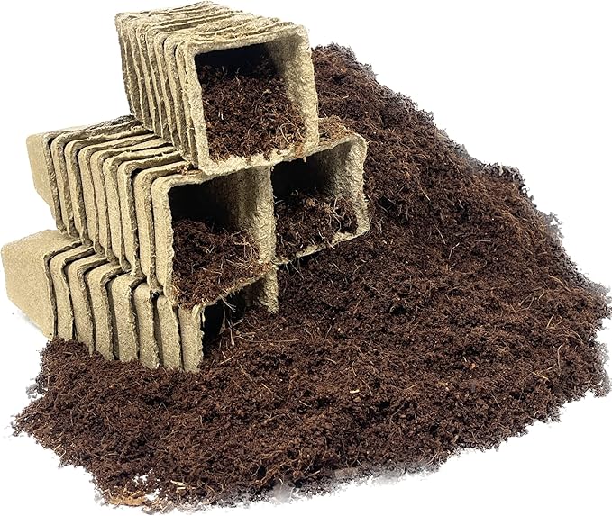Seed Needs, Sunflower Seed Packet Collection Seed Starting Bundle (Includes 6 Individual Seed Packets, 36 Starter Pots & 1 Expandable Coco Coir Brick) Heirloom, Open Pollinated & Untreated