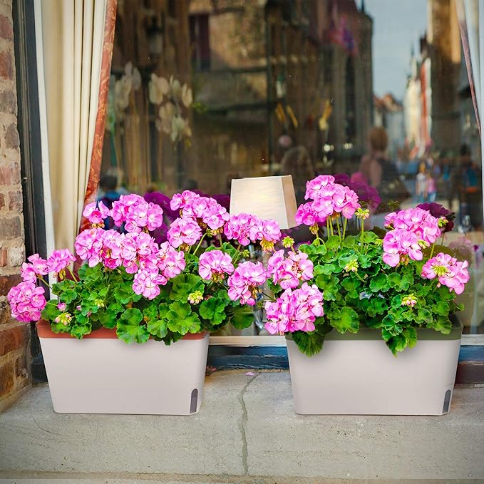 Amazing Creation Window Herb Planter Box, Vibrant Window Herb Garden, Self-Watering Rectangular Planter for Kitchen, Plants, and Succulents - Set of 3