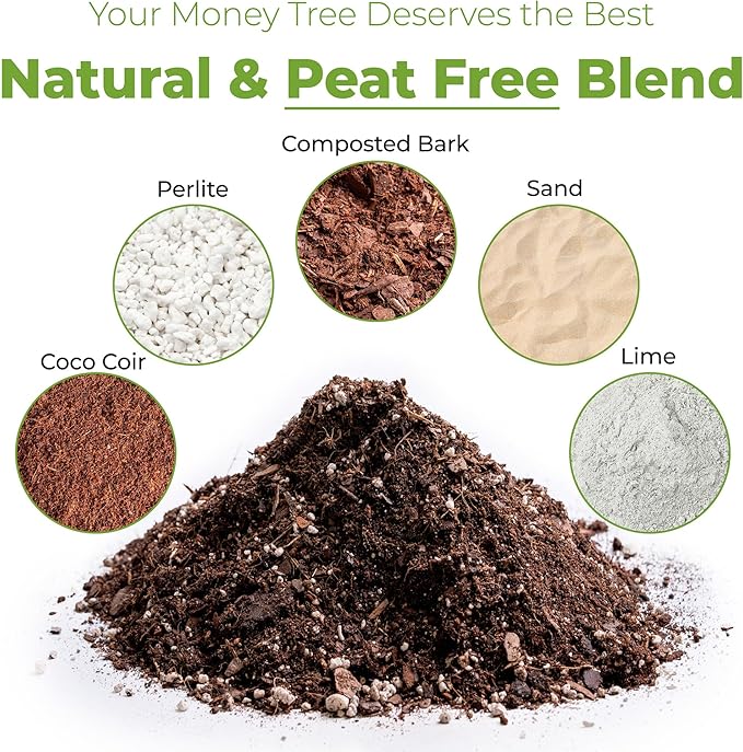 Perfect Plants Money Tree Potting Soil 4qt | Organic Coco Coir Based Plant Mix for Indoor Trees | Quickly Grow Your Indoor Forest