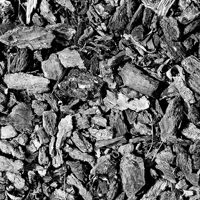 Char Bliss (1 Qt) - Organic Biochar for Plants - OMRI-Listed Biochar Soil Amendment Organic - Bio Char for Plants - Horticultural Charcoal for Plants, Potting Soil, Garden Soil, & Potting Mixes