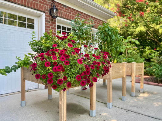 Transform Your Outdoor Space with a Heavy-Duty Garden Raised Bed 🌼