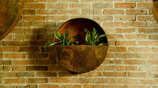 Small Space? Big Garden Dreams!