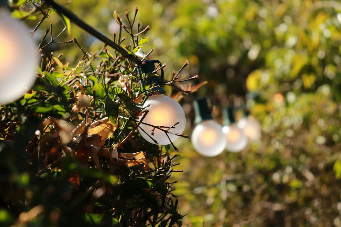 Light Up Your Outdoor Space Instantly with Solar Garden String Lights