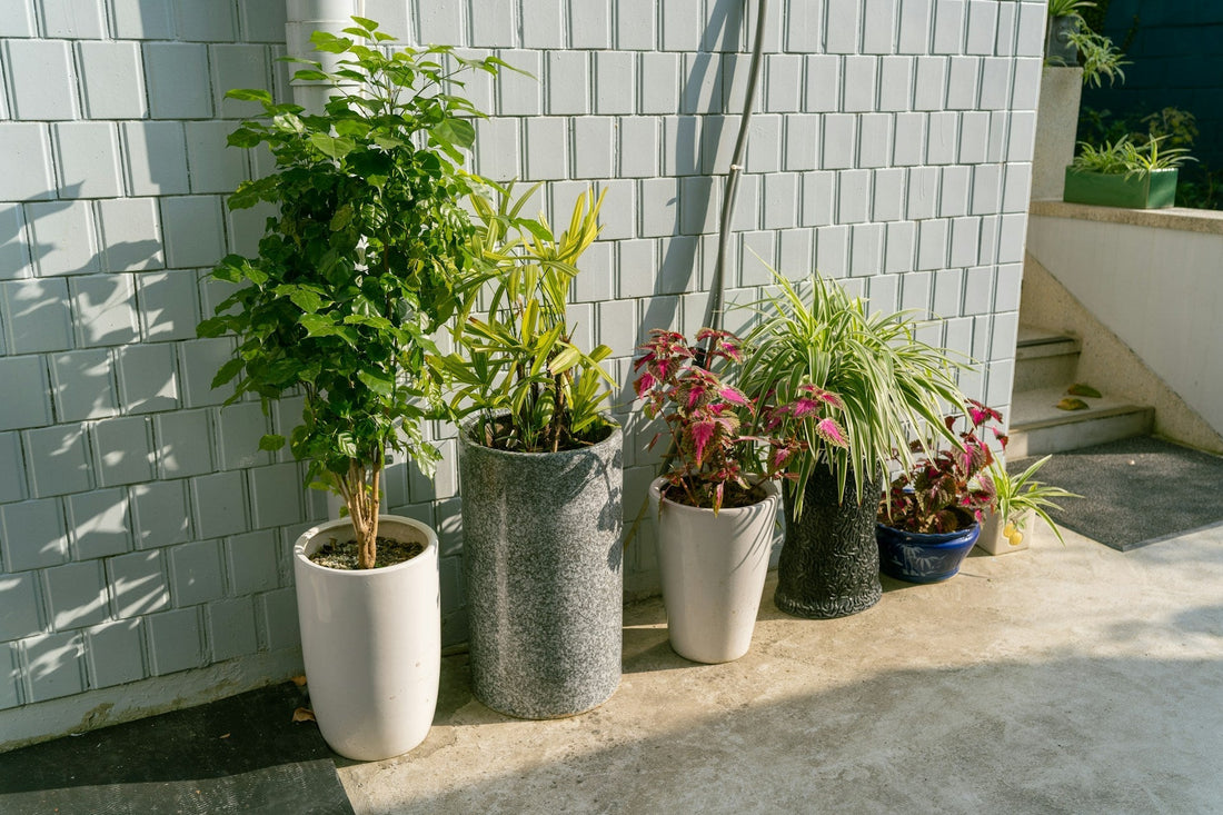 Transform Your Small Balcony Into a Green Haven With One Smart Planter