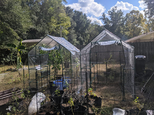 Extend Your Growing Season with a Portable Mini Greenhouse