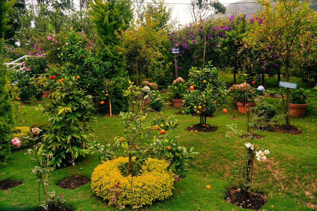 Eco-Friendly Gardening: Tips for Sustainable Practices