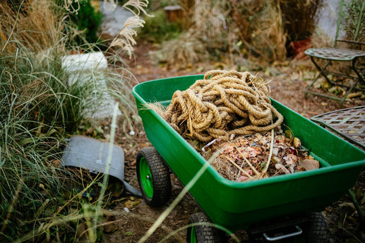 Sustainable Gardening: Composting and Eco-Friendly Practices