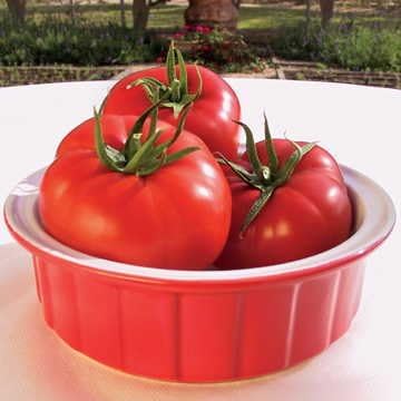 Park Seed Variety of Tomato Vegetable Seeds, Plant Seeds, Easy to Grow, Perfect for Harvesting, Mater Sandwich Hybrid Organic, Pack of 20