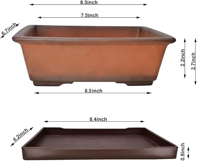 MUZHI Decorative Ceramic Bonsai Planter Pot 8.5 Inch with Tray, Breathable Unglazed Rectangle Terracotta Clay Pot for Tree Succulent Cactus Indoor Outdoor Red Brown