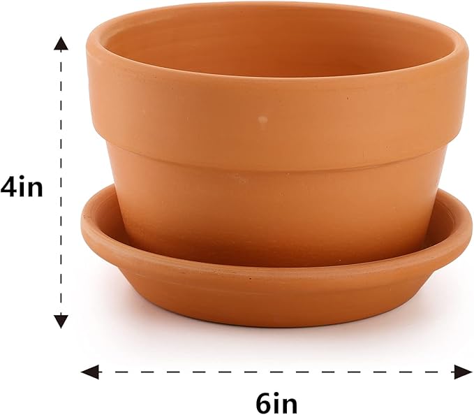 Suwimut 4 Pack Terracotta Pots with Saucer, 6 Inch Large Terra Cotta Plant Pot with Drainage Hole, Clay Flower Planter Pot with Tray for Indoor Outdoor Plant