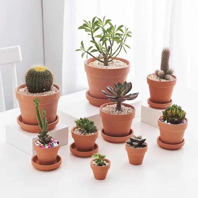 OLEEP Clay Pot - 2 Pack Large Terra Cotta Plant Pot with with Sauce,Drainage Hole, Clay Planters Pot, Terracotta Pot for Indoor Outdoor Plant (7.8 inch)