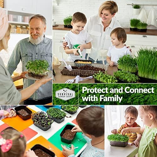 Survival Garden Seeds 1 Pack Clover Microgreens Seeds for Planting & Growing Indoors – Plant Green Leafy Micro Herbs Indoors – Non-GMO Heirloom – Grow a Salad on Your Window Sill