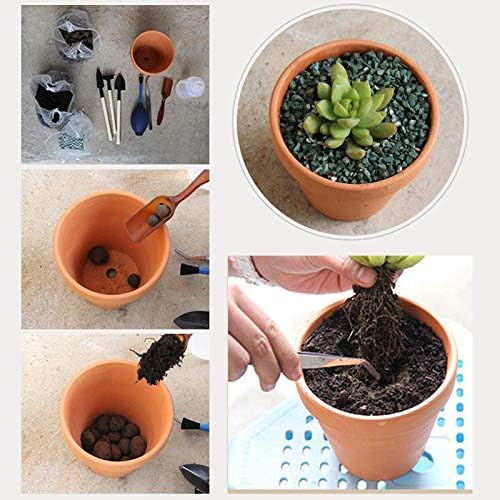 OLEEP Clay Pot - 10 Pack Large Terra Cotta Plant Pot with Drainage Hole, Clay Planters Pot, Terracotta Pot for Indoor Outdoor Plant (5.5 inch)