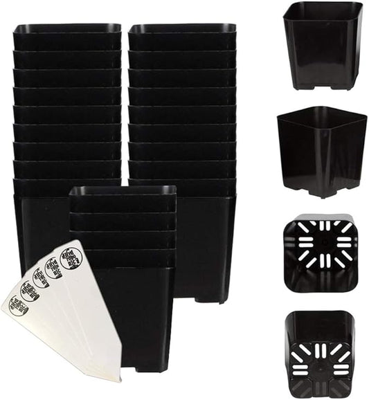 The Hydroponic City Black Square Flower Nursery Pots for Starting Seedlings, Succulents, or Cacti - 2" x 2", Pack of 25 + 5 THCity Stakes